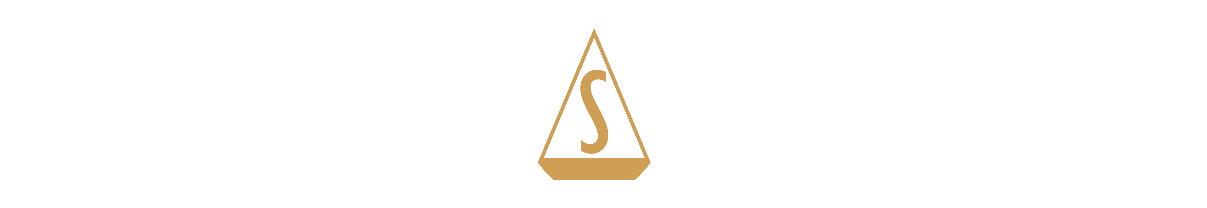 SalameroAbogados-logo-neg